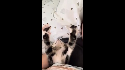Funny animals!