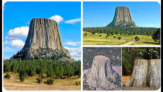 GIANT TREES UNDER the FIRMAMENT!