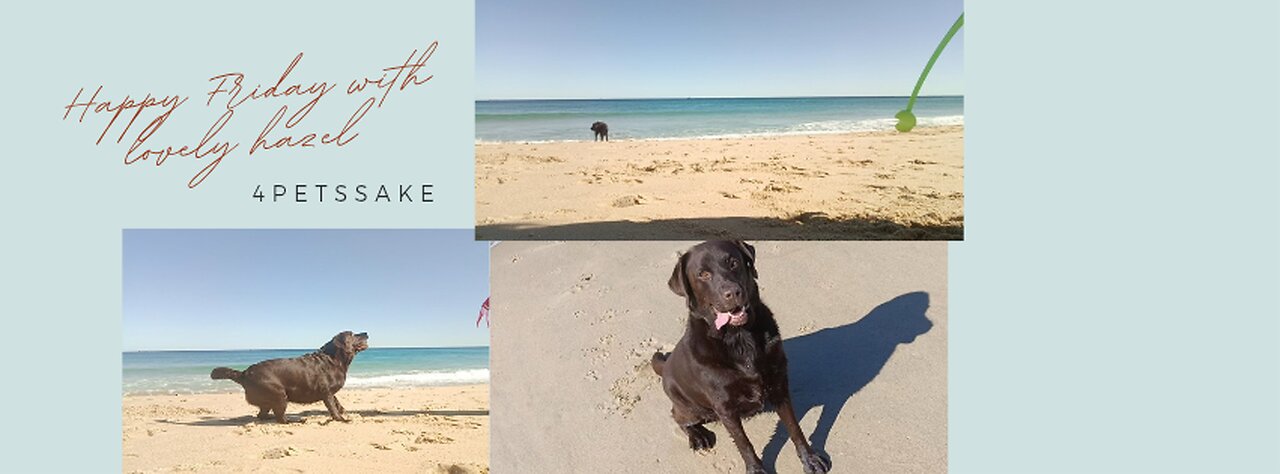 Happy friday with hazel