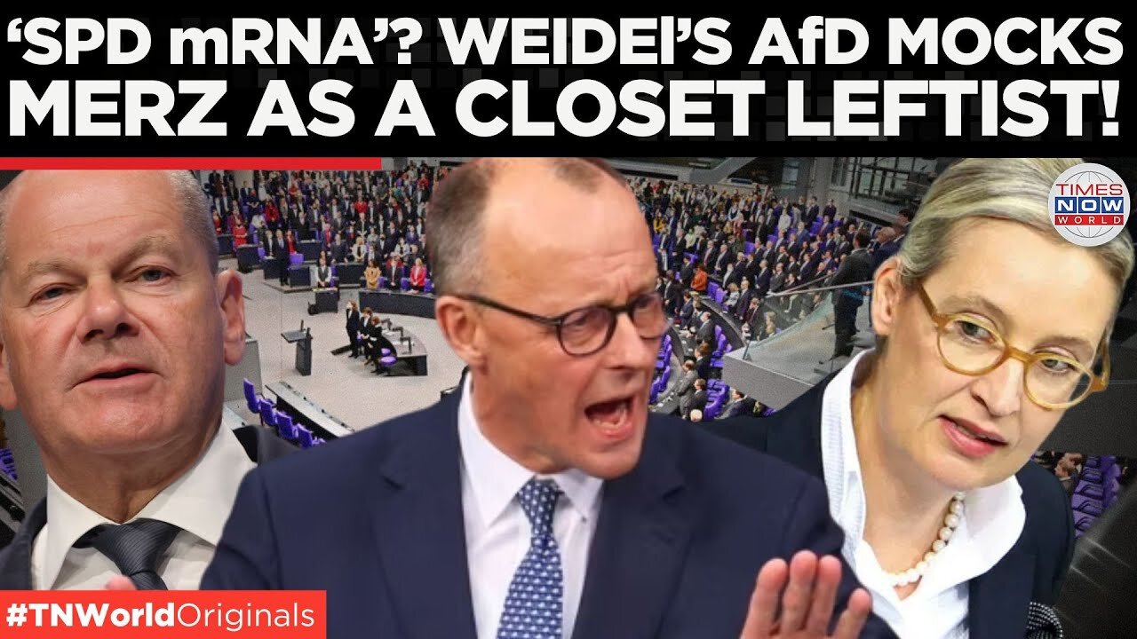 Merz Cornered: Coalition Talks Stalled as AfD and SPD Tighten Grip | Times Now World