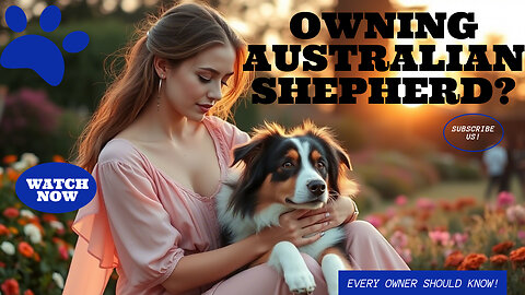 Owning Australian Shepherd Watch This Before You Get One #petcare #petlovers #dogvideos #doglife 🥰🐕
