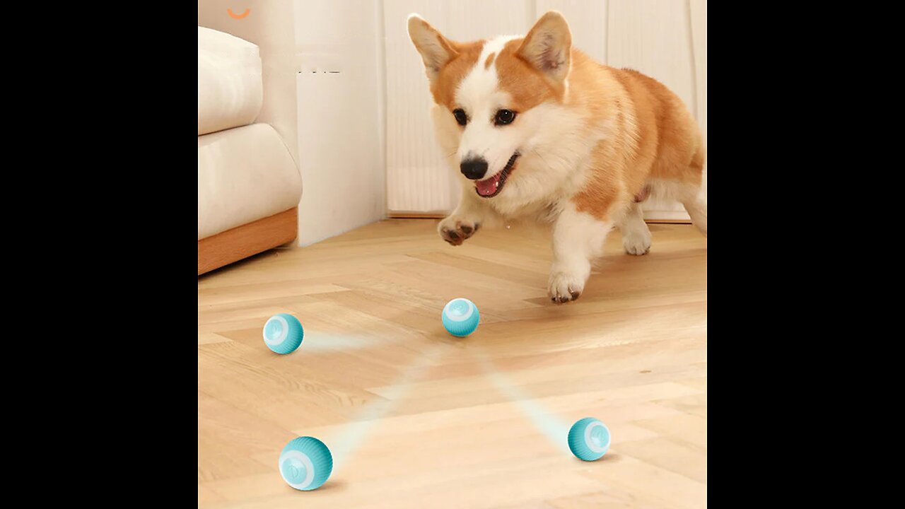Intelligent Electric Bite-Resistant Dog Toy