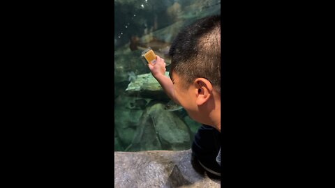 Testing fishing lures at Bass Pro Shops