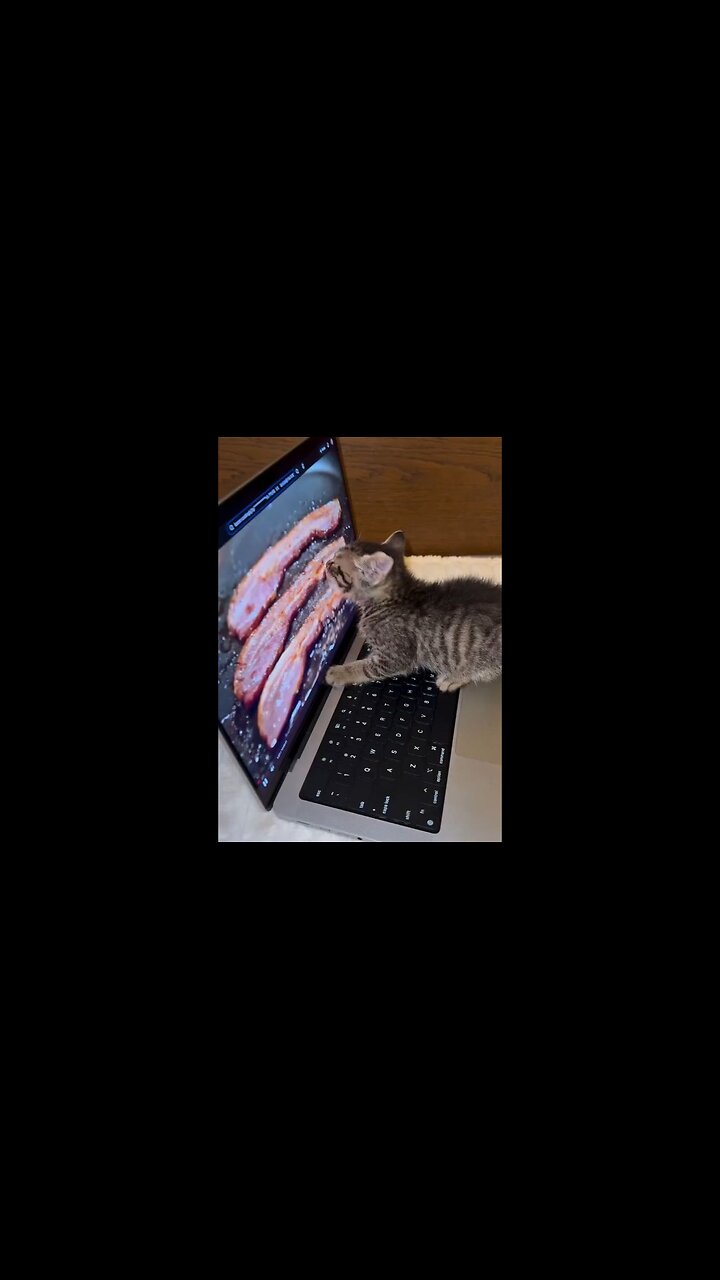 Clearly Not The Smartest One In The Room…