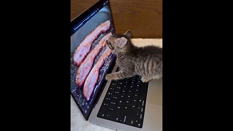 Clearly Not The Smartest One In The Room…