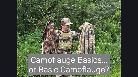 Camouflage Basics... or Basic Camouflage?
