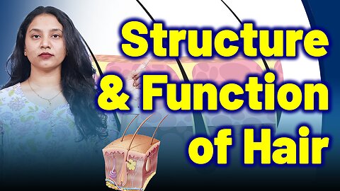 Structure & Functions in Alopecia Areata, Patchy Baldness.| Treatment and Cure | Homeopathy