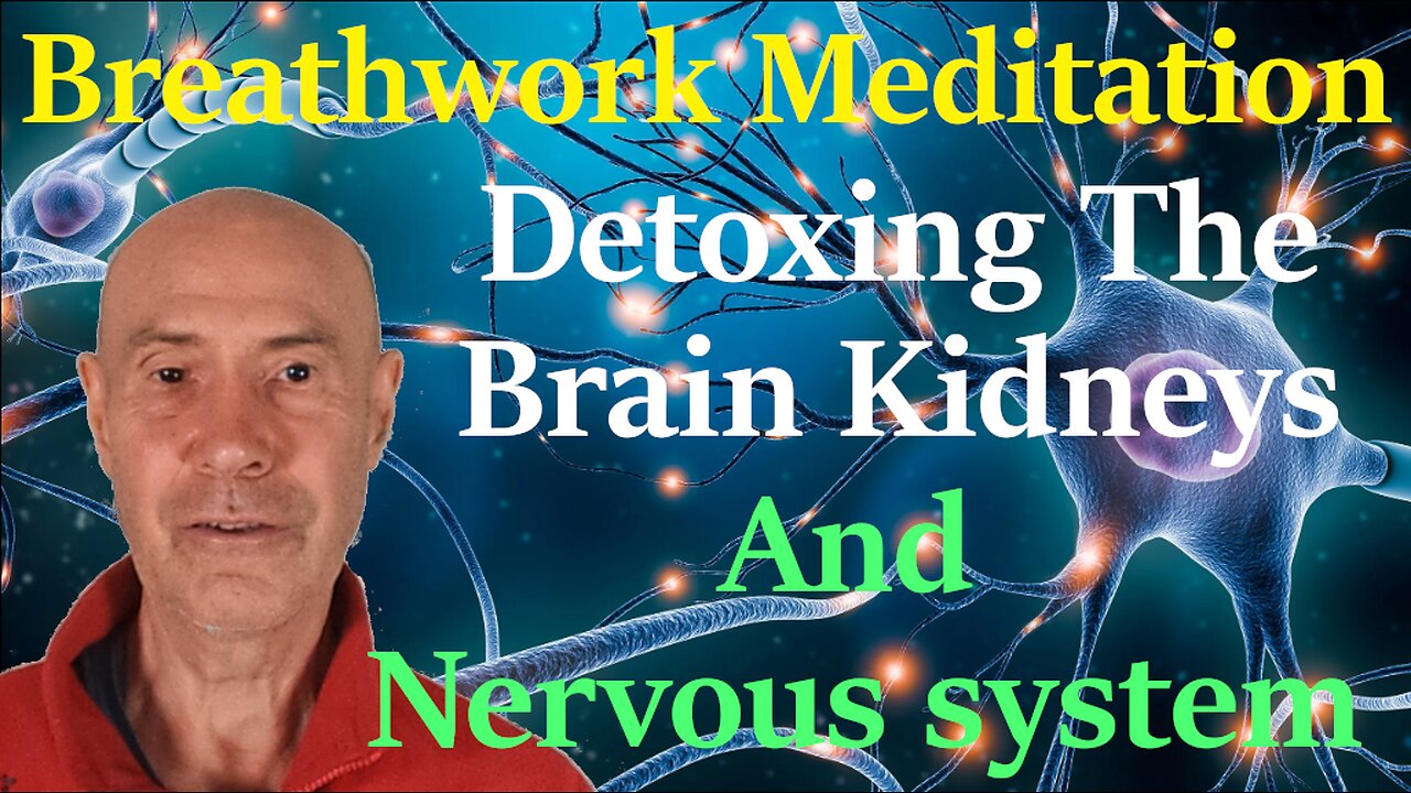 Breathwork Meditation - Detoxing The Brain, Cranial Sea, Ventricles, Kidneys, And Nervous System