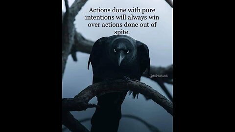 Terry on tour 2 health and money run out