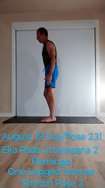 Eka Pada Uttanasana 2 / Flamingo Pose