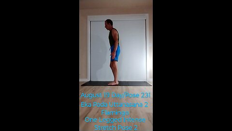 Eka Pada Uttanasana 2 / Flamingo Pose