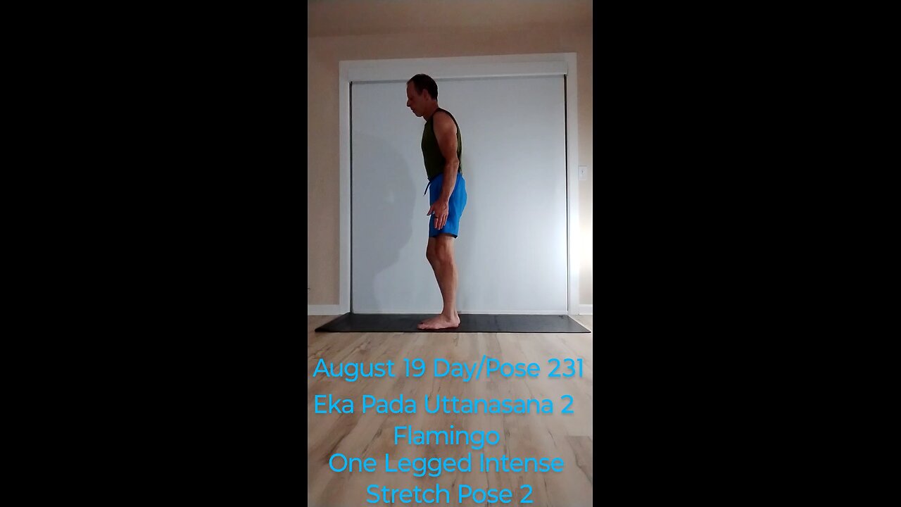 Eka Pada Uttanasana 2 / Flamingo Pose