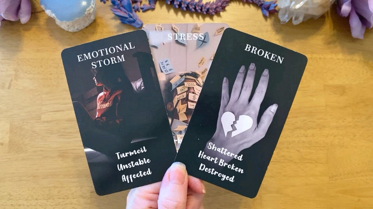 THIS PERSON IS LOSING THEIR MIND WITHOUT YOU & HAVING A MENTAL HEALTH CRISIS COLLECTIVE LOVE READING