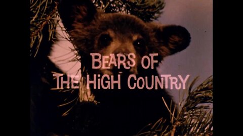 Mutual of Omaha's Wild Kingdom - "Bears of the High Country"
