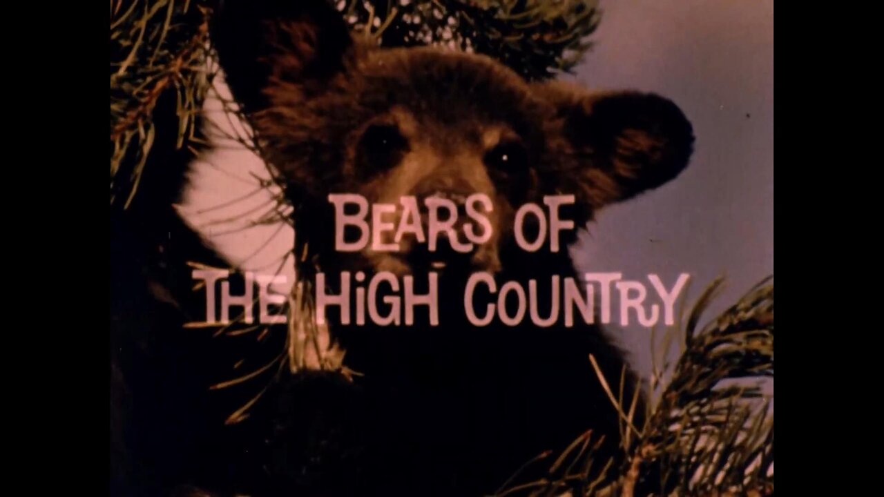 Mutual of Omaha's Wild Kingdom - "Bears of the High Country"