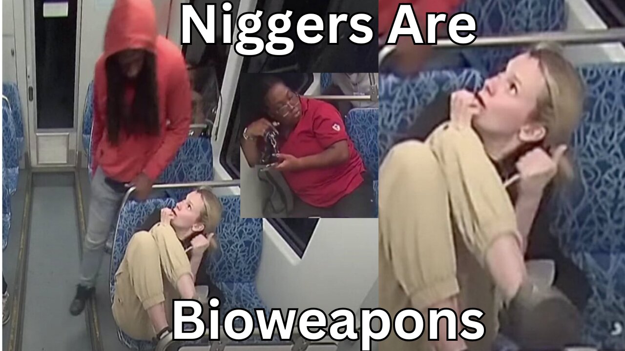 Is Segregation Necessary? Scientific Racism, Race Realism, Comfy Tuesday Livestream