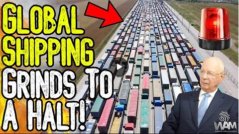 EMERGENCY: GLOBAL SHIPPING GRINDS TO HALT! - Net Zero Meat Bans & Panic Buying Imminent!