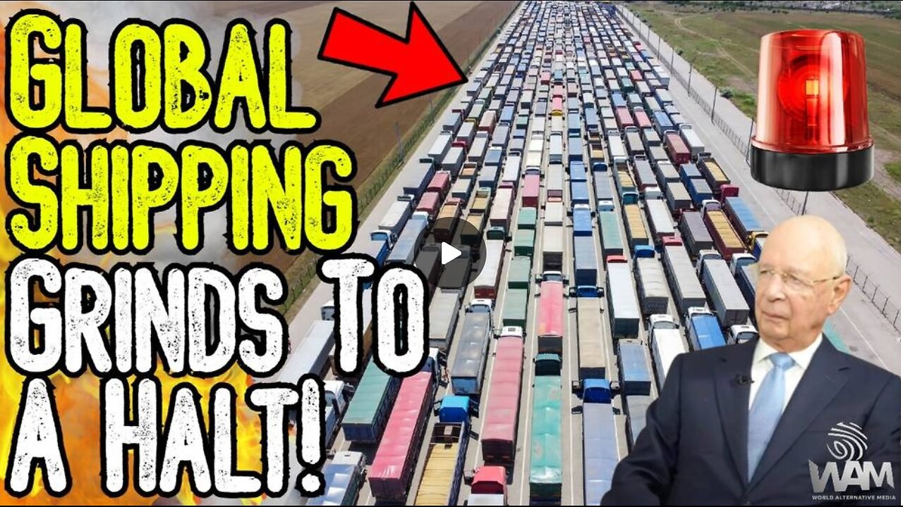 EMERGENCY: GLOBAL SHIPPING GRINDS TO HALT! - Net Zero Meat Bans & Panic Buying Imminent!