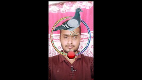 কবুতরের মাথাটি জোড়া লাগান ৭১ 🧩✅ #reels #puzzle #viral #tending #foryou