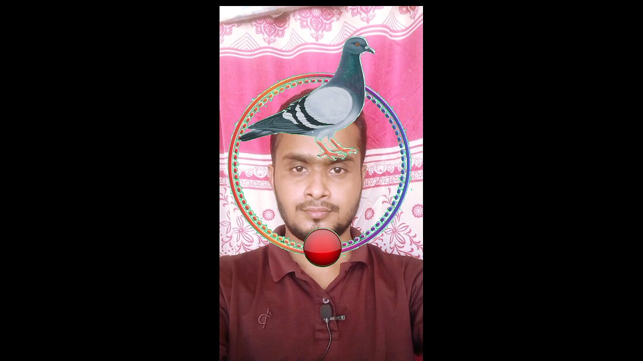কবুতরের মাথাটি জোড়া লাগান ৭১ 🧩✅ #reels #puzzle #viral #tending #foryou