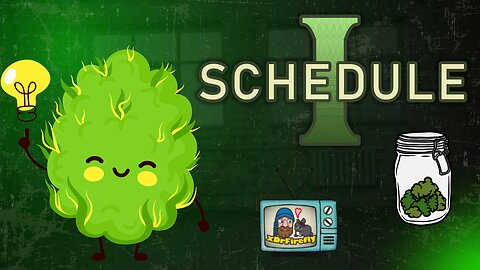 Crossing the Line : Diving Into Schedule 1 : Episode 1