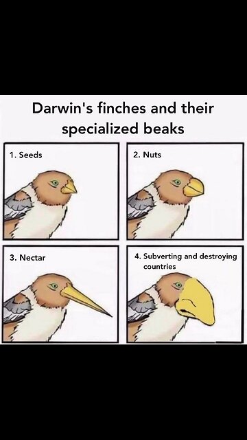 They lie and the godless lap it up..