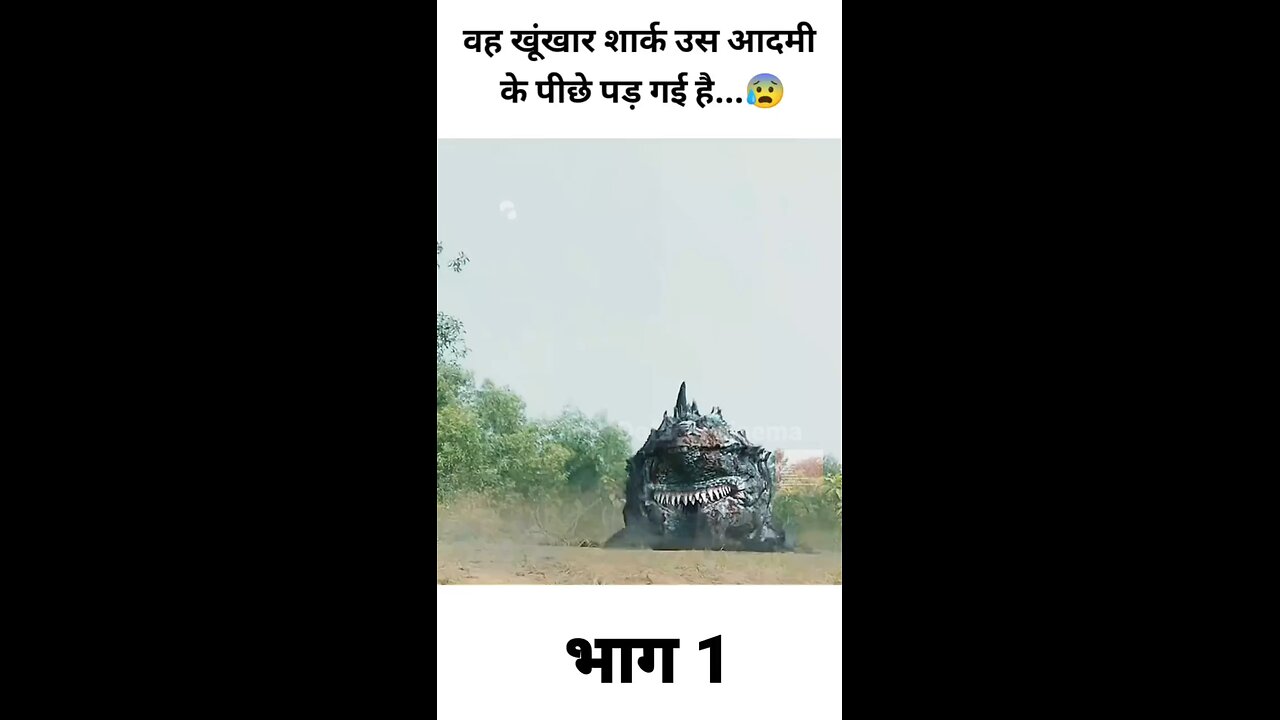 वह खूंखार शार्क उस आदमी के पीछे पड़ गई है...