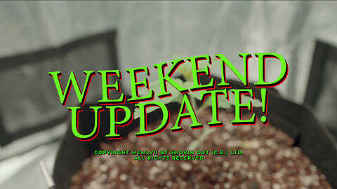 Cannabis Grow Journal - Weekend Update!