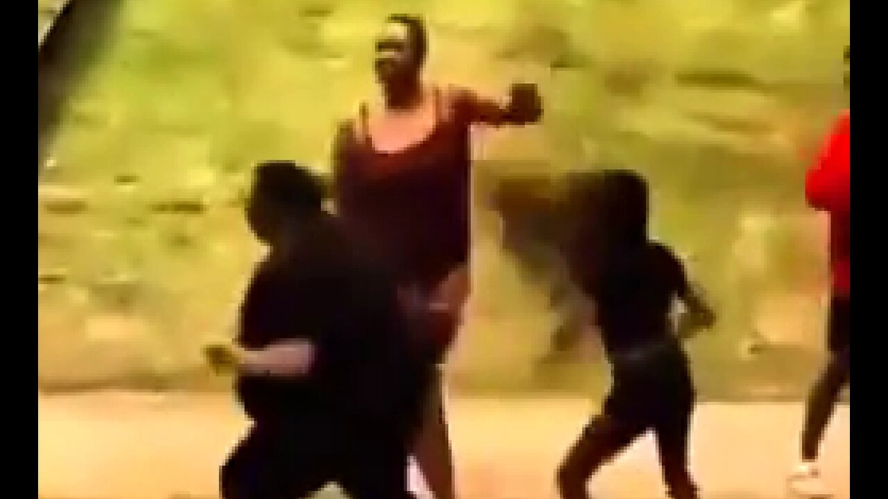 PRIMATE SECTION EIGHT ZOO 🤡