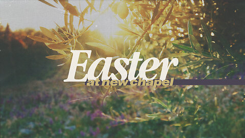 Easter 2025 (Pastor Joe Bevelacqua)