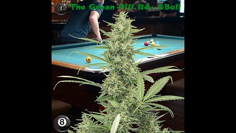 The Green Pill #8: 8 Ball