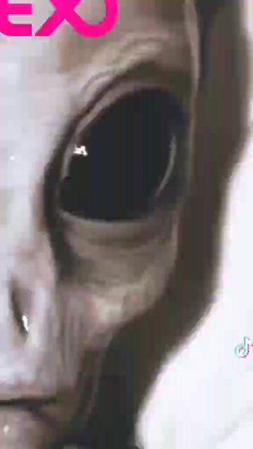 KGB Leaked Alien EBE Footage