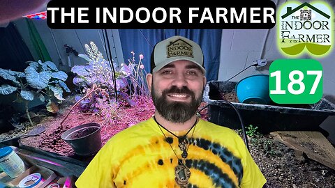 The Indoor Farmer ep 187, Everything Is Paying Off, Let's Grow