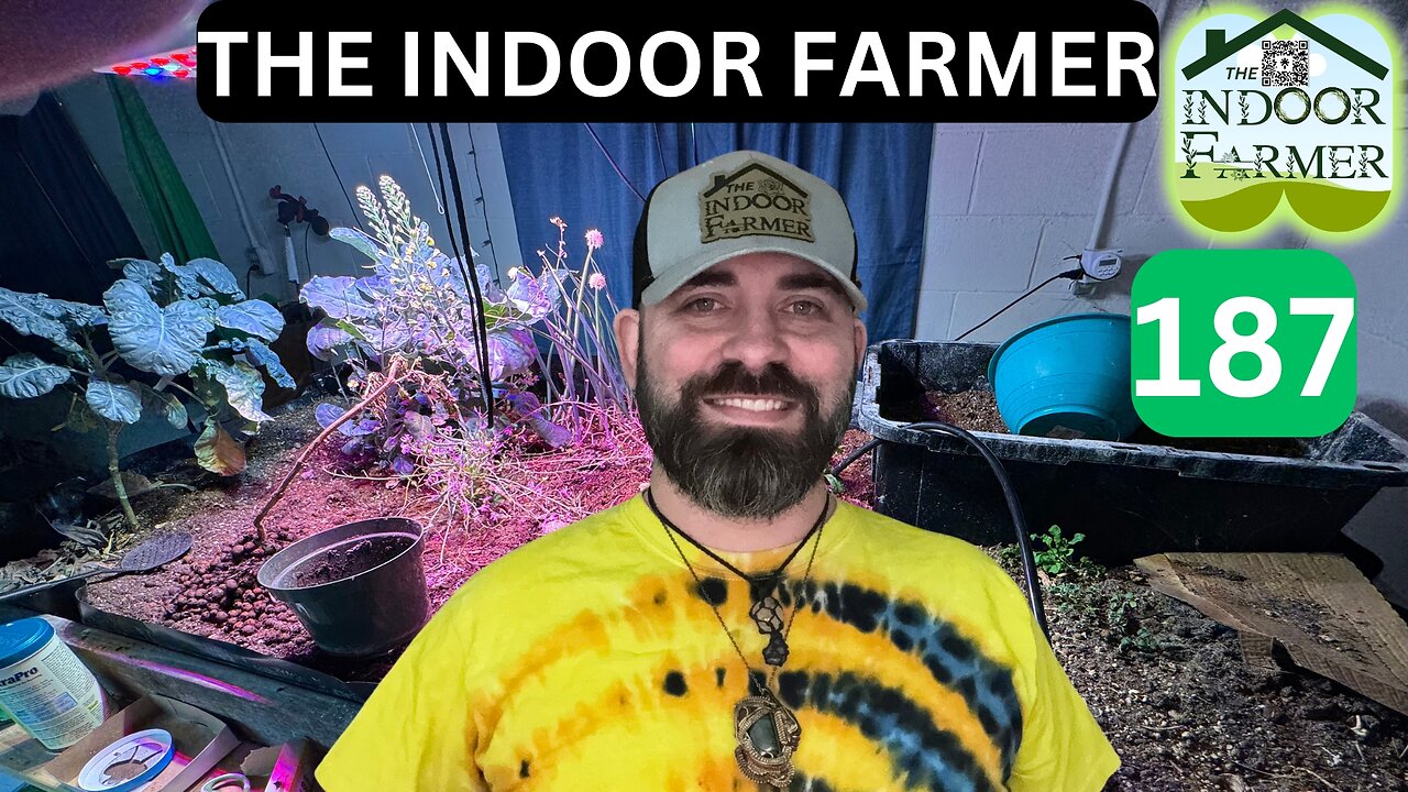 The Indoor Farmer ep 187, Everything Is Paying Off, Let's Grow