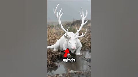 Top 5 Animals That Came Back From Extinction 😱