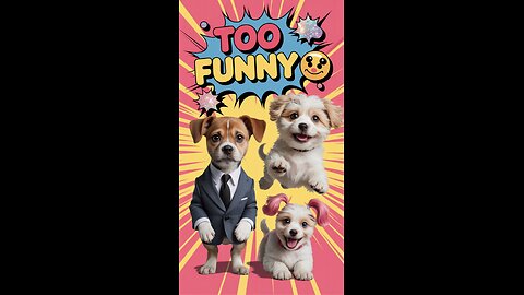 Dogs Acting Like Humans – Too Funny to Handle! 😂🐶