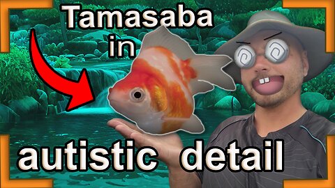 My own tamasaba goldfish line in autistic detail