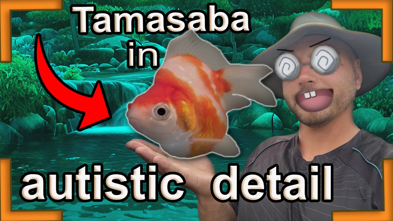 My own tamasaba goldfish line in autistic detail