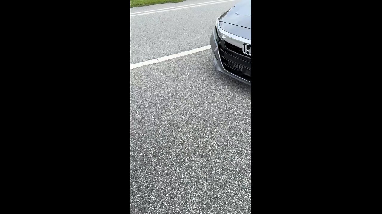 Black people picking unknown harvest like in the 1900 thanks if you know what I mean