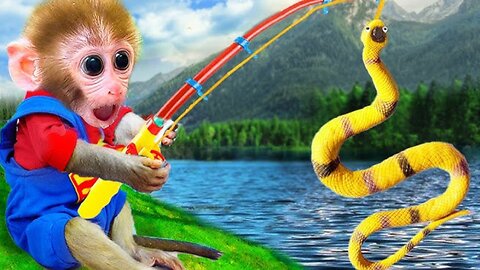 Banmonkeykiki animalht vedios || Animal Rumbel Vedios....