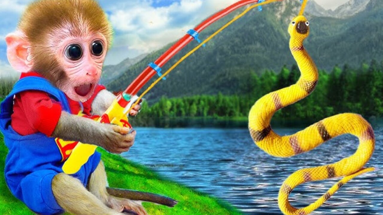 Banmonkeykiki animalht vedios || Animal Rumbel Vedios....