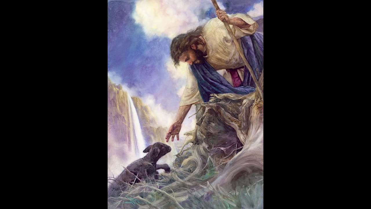 Matthew 7 - 11 | The Labourers Are Few