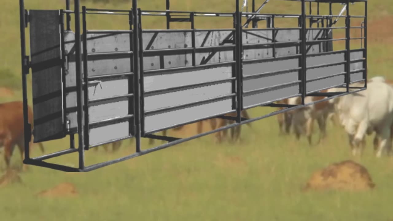 Superior Standard Adjustable Alleyway