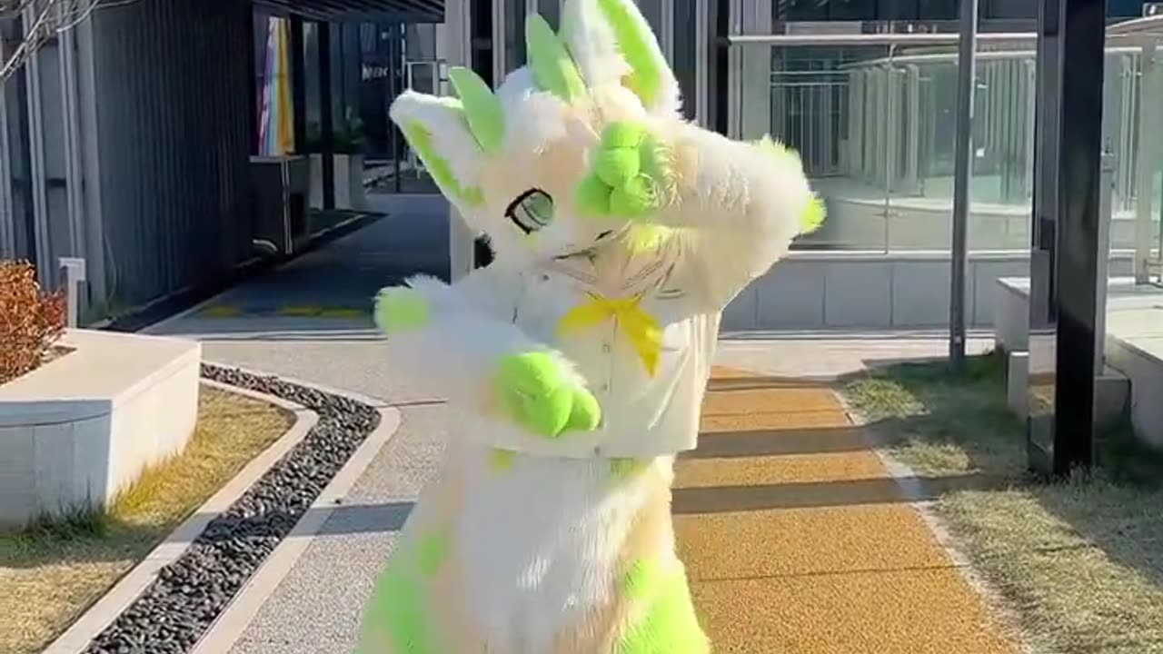 【Fursuit Dance】Qingdi (青提不好吃) - daniwellP ねこみみスイッチ