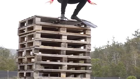 If animals did Parkour 😂 Part 4