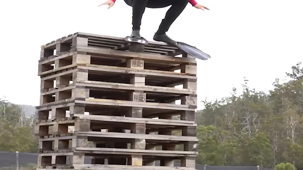 If animals did Parkour 😂 Part 4