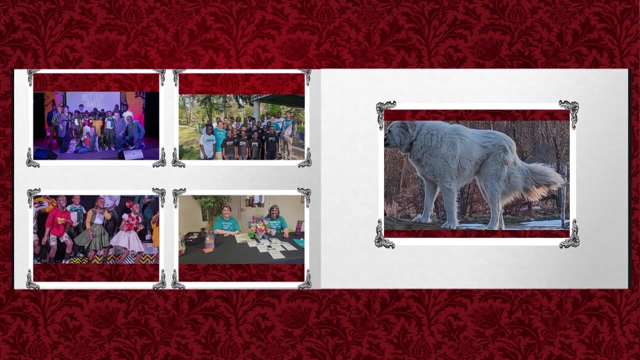 Total Freedom Manitoba (A Look Back at 2024)