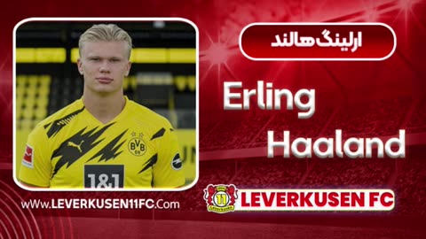 erling-haaland