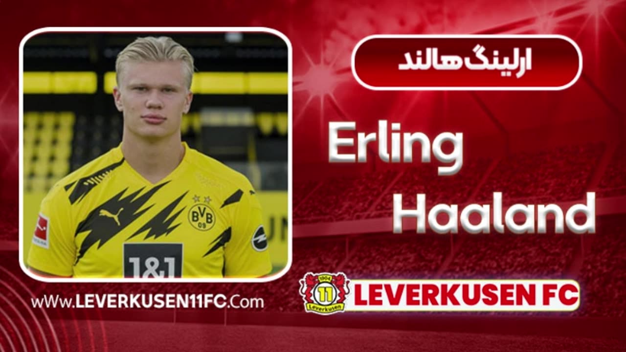 erling-haaland