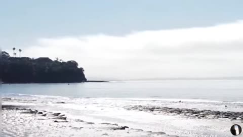 Murrays Bay Beach Auckland New Zealand Tour